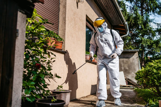 Best Affordable Pest Control Services  in Crow Agency, MT