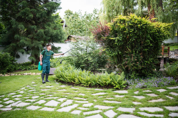 Best Wasp Removal Services  in Crow Agency, MT