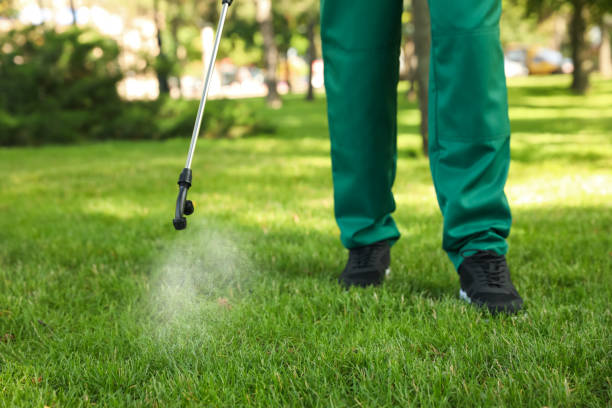 Best Insect Control  in Crow Agency, MT