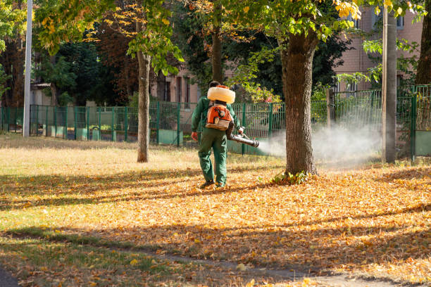 Best Pest Removal Services  in Crow Agency, MT