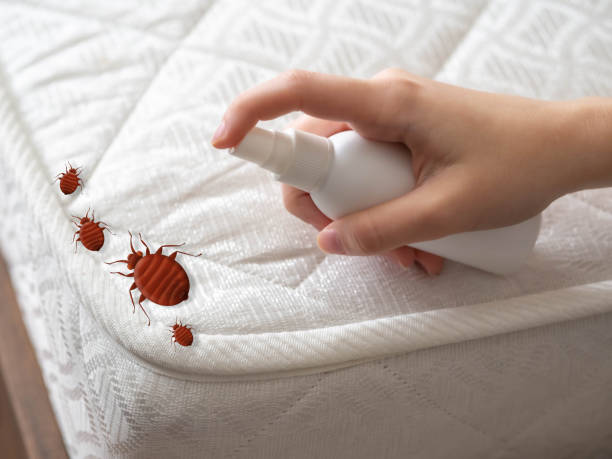 Best Commercial Pest Control Services  in Crow Agency, MT