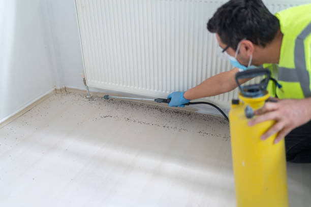 Best Residential Pest Control  in Crow Agency, MT