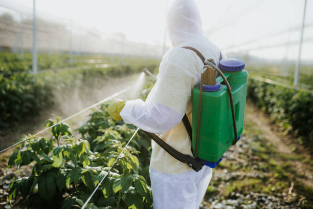 Professional Pest Control in Crow Agency, MT